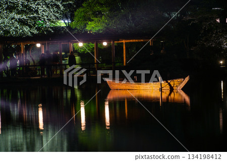 Cherry blossoms at Sanpi Garden at night Cherry blossoms at Sanpi Garden at night 134198412