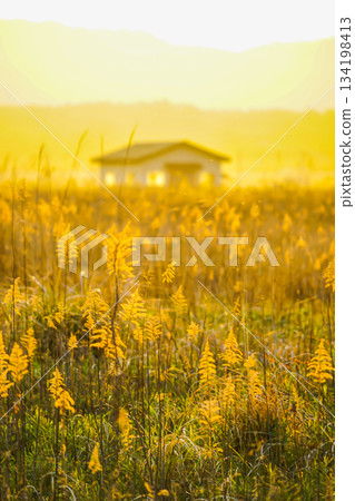 Susumu和太陽和房子 134198413