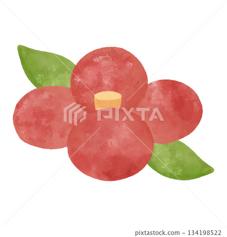 山茶花水彩插畫，冬季日式風格，日式圖案裝飾材料 134198522