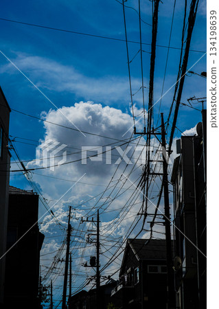 夏日天空下的居民區和電線 134198639