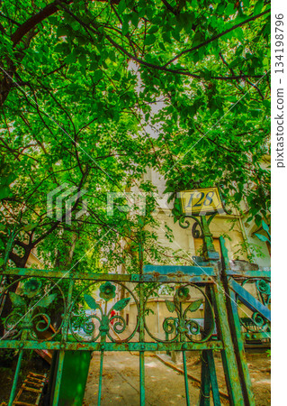 Old gate covered in greenery 134198796