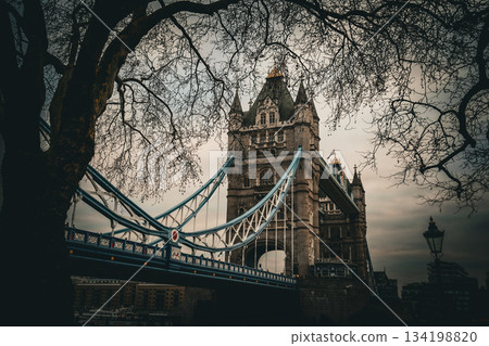 Tower Bridge through the trees 134198820