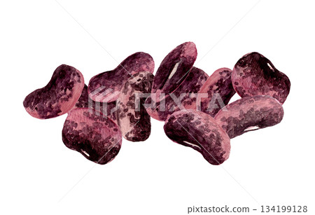 Hand-drawn watercolor illustration of stacked safflower kidney beans 134199128