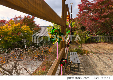 Autumn leaves and windmill 134199654