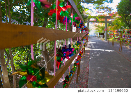 Colorful windmills and torii gates Colorful windmills and torii gates 134199660
