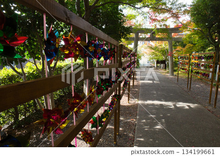Shrine and windmill in autumn 134199661