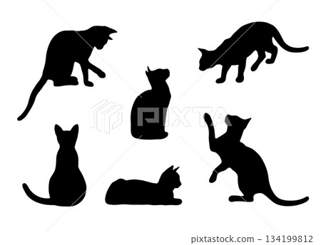 Cat silhouettes. Set of black cats in different poses, pet communicate, vector illustration. Logo design for nursery, veterinary clinic, and pet store Cat silhouettes. Set of black cats in different poses, pet communicate, vector illustration. Logo design for nursery, veterinary clinic, and pet store 134199812