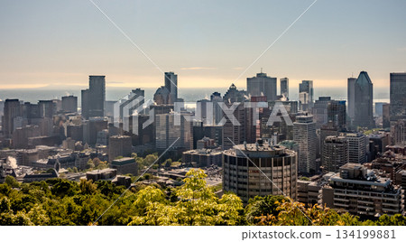 Montreal canada city Skyline in spring Montreal canada city Skyline in spring 134199881