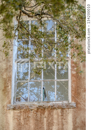 old and outdated windows on historic building old and outdated windows on historic building 134200010