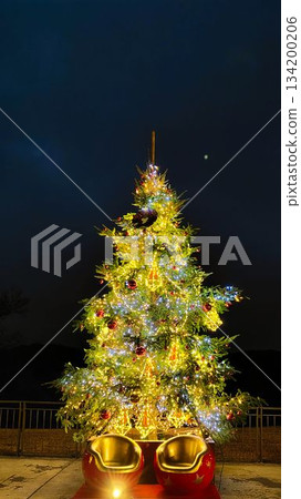 宮澤湖的聖誕樹 134200206