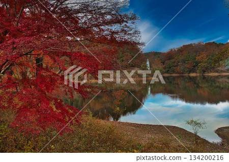 宮澤湖寧靜祥和的湖岸 宮澤湖寧靜祥和的湖岸 134200216