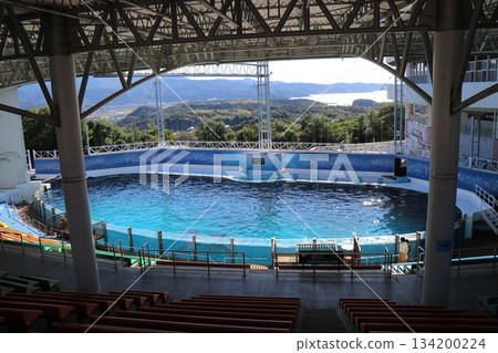 Dolphin show scene, Adventure World, Wakayama Prefecture Dolphin show scene, Adventure World, Wakayama Prefecture 134200224
