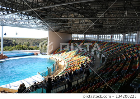 和歌山縣冒險世界海豚表演場景 134200225