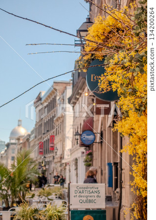 Old Montreal street view with historical buildings Old Montreal street view with historical buildings 134200264