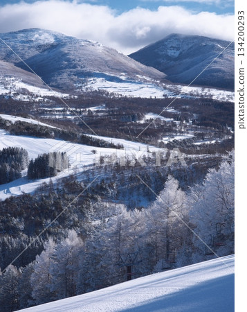 從菅平高原滑雪場的太郎山上可以眺望浦太郎山滑雪道、貓岳和東屋山。 從菅平高原滑雪場的太郎山上可以眺望浦太郎山滑雪道、貓岳和東屋山。 134200293