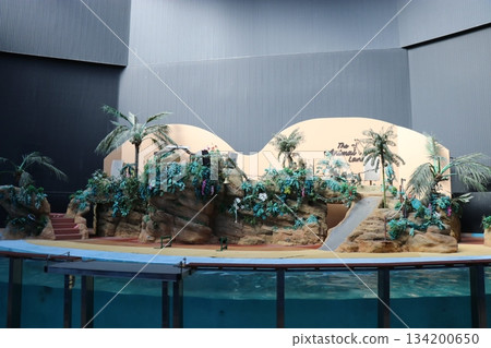 冒險世界,和歌山縣,動物表演 冒險世界,和歌山縣,動物表演 134200650