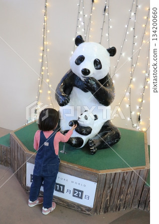 冒險世界，和歌山縣，熊貓 134200660