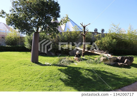 Adventure World, Wakayama Prefecture Adventure World, Wakayama Prefecture 134200717