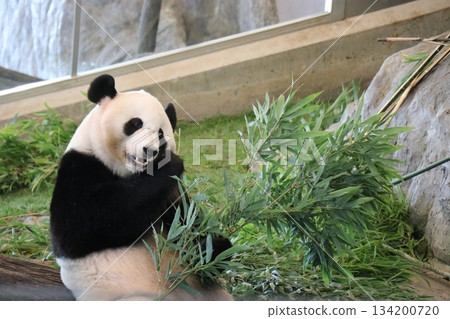 和歌山縣冒險世界 和歌山縣冒險世界 134200720