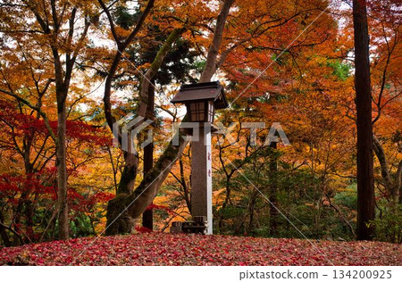 秋天的色彩如同屏風畫。 134200925