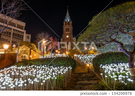 明洞大教堂聖誕燈飾，首爾明洞旅遊景點 134200978