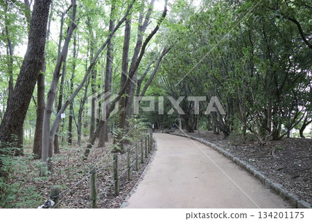 Itami City Insectarium, Hyogo Prefecture 134201175