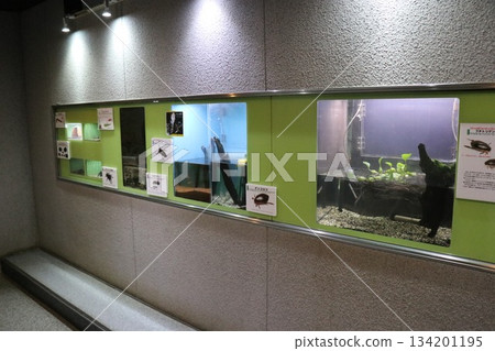 兵庫縣伊丹市昆蟲館 兵庫縣伊丹市昆蟲館 134201195