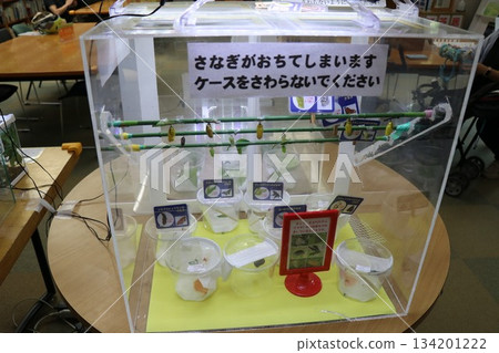 Itami City Insectarium, Hyogo Prefecture 134201222