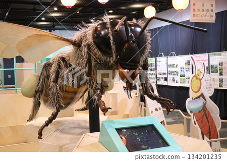 兵庫縣伊丹市昆蟲館 兵庫縣伊丹市昆蟲館 134201235