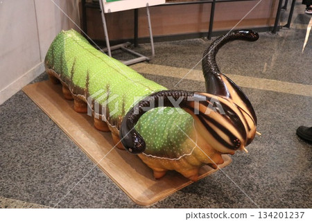 Itami City Insectarium, Hyogo Prefecture 134201237