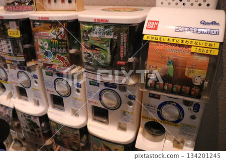 Itami City Insectarium, Hyogo Prefecture 134201245