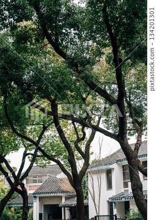 Traditional Chinese houses street with trees in Suzhou, China 134201301