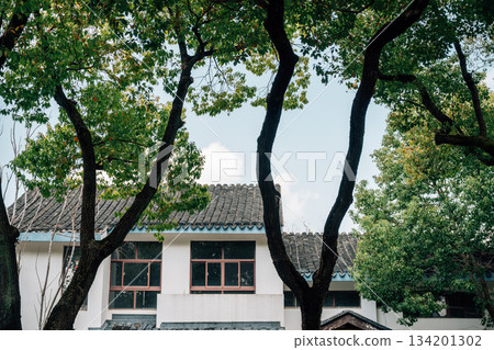 Traditional Chinese houses street with trees in Suzhou, China 134201302