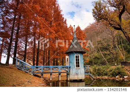 Autumn Metasequoia leaves and a water play hut Autumn Metasequoia leaves and a water play hut 134201546