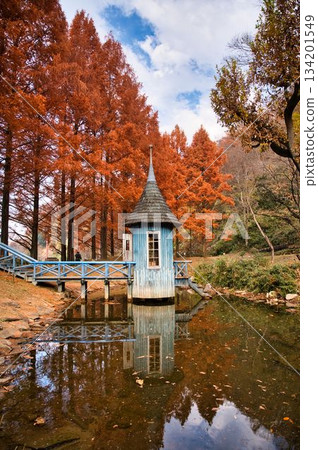 藍色小屋和水杉的秋葉 134201549