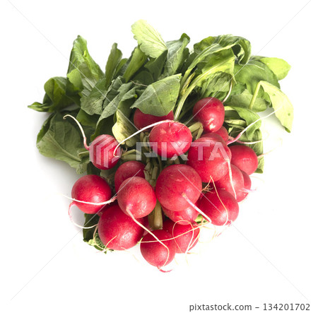 red radish in studio 134201702