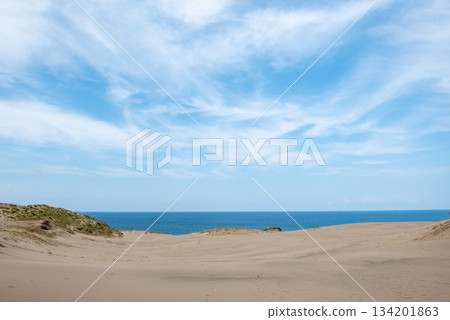 Tottori Sand Dunes Tottori Sand Dunes 134201863