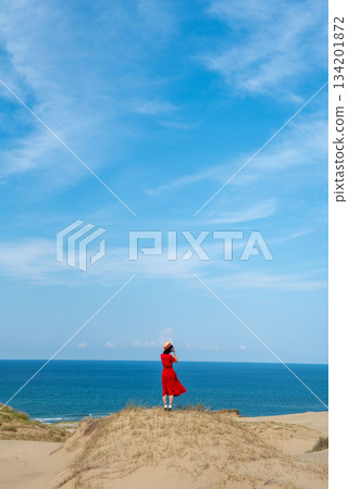 鳥取沙丘上的女人 鳥取沙丘上的女人 134201872