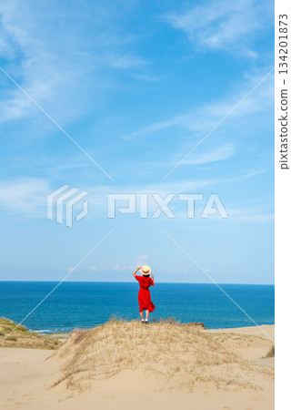 鳥取沙丘上的女人 鳥取沙丘上的女人 134201873