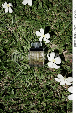 Original organic photo transparent perfume bottle flatlay on green grass white floral background Original organic photo transparent perfume bottle flatlay on green grass white floral background 134202922