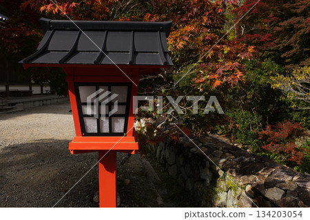 秋葉與朱紅色燈籠 134203054