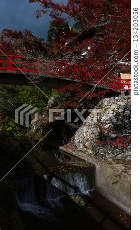 一座紅橋橫跨小河，秋葉飄落。 134203056