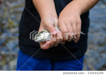 孩子抓魚 134203294