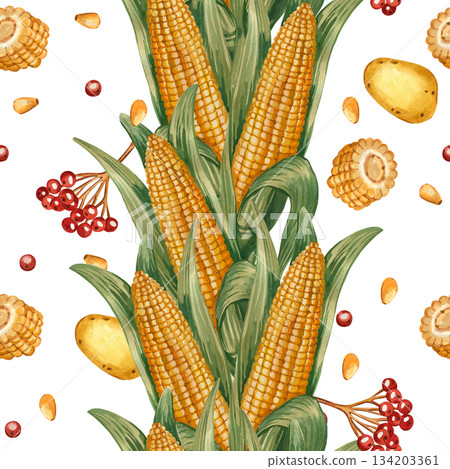 Seamless watercolor pattern on the theme of Thanksgiving and autumn harvest. Ripe corn, potatoes, viburnum berries. All objects are hand-painted in watercolor. For kitchen textiles, printing on paper. Seamless watercolor pattern on the theme of Thanksgiving and autumn harvest. Ripe corn, potatoes, viburnum berries. All objects are hand-painted in watercolor. For kitchen textiles, printing on paper. 134203361