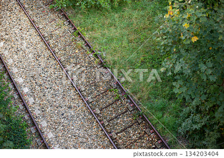 Remnant of the Petite Ceinture railway in Paris 134203404