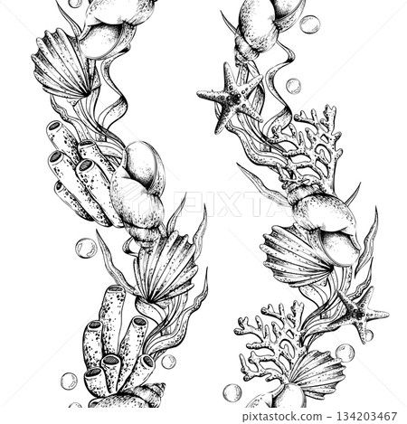 Black and white seamless pattern drawing of shell, coral, seaweed, and starfish. Marine life line art illustration for textile, wallpaper, and fabric. Vertical borders outline graphic Black and white seamless pattern drawing of shell, coral, seaweed, and starfish. Marine life line art illustration for textile, wallpaper, and fabric. Vertical borders outline graphic 134203467