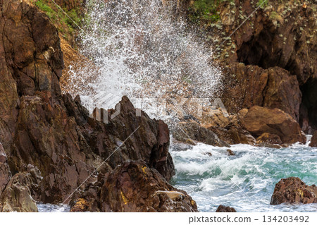 海浪拍打礁岩激起的雪白浪花 134203492