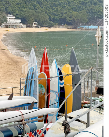 Colorful surfboards lined up on a beach ready for surfing adventures Colorful surfboards lined up on a beach ready for surfing adventures 134203508
