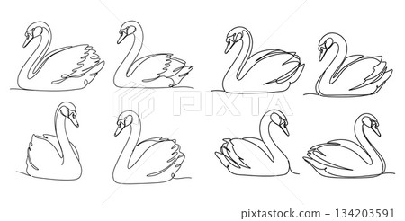 Swans Grouped Together in Elegant Continuous Line Art Style for Creative Design Projects 134203591