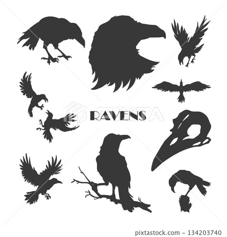 Set of silhouettes of ravens. Crow on a branch. Black icons of isolated birds. Gothic symbol. Drawing for tattoo 134203740